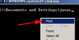 copy-paste-from-cmd